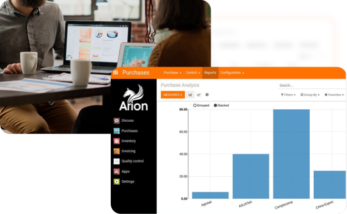 ArionERP