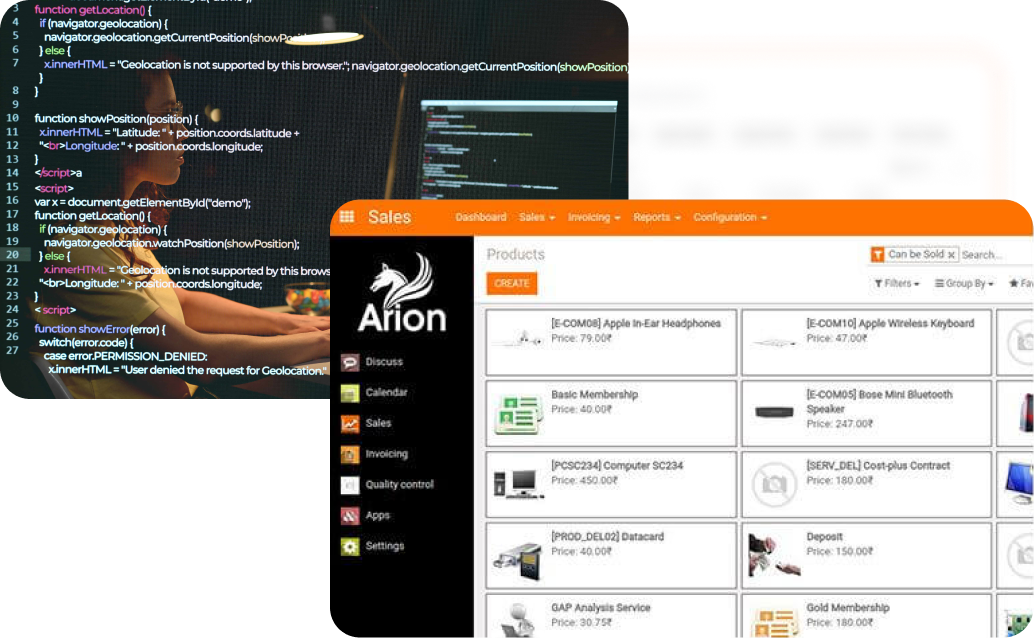 ArionERP