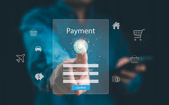 Secure online payment processing interface