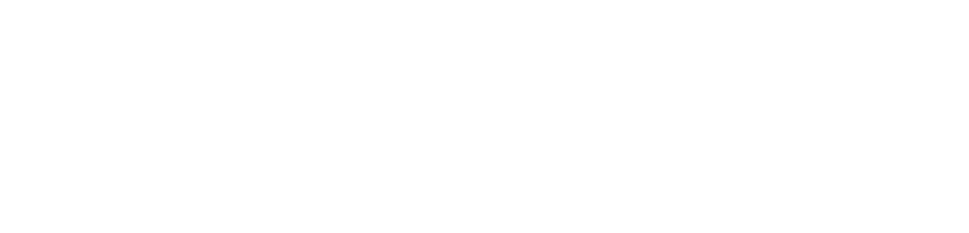 ArionERP